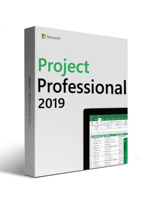 Microsoft Project Professional 2019 (Költöztethető)