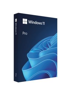Microsoft Windows 11 Pro (OEM)