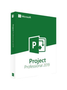Microsoft Project Professional 2019 (2 eszköz / Lifetime)