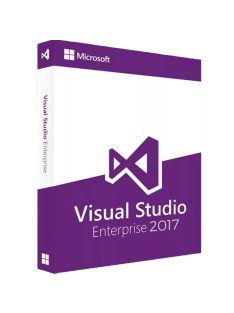   Microsoft Visual Studio Enterprise 2017 (1 eszköz / Lifetime)