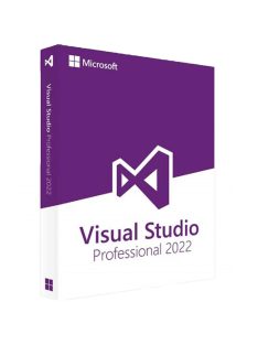   Microsoft Visual Studio Professional 2022 (1 eszköz / Lifetime)